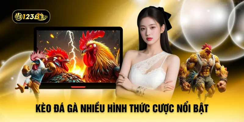Kèo đá gà nhiều hình thức cược nổi bật